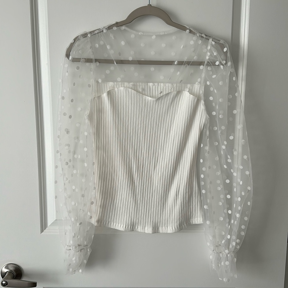 Puff Long Sheer Sleeve Top